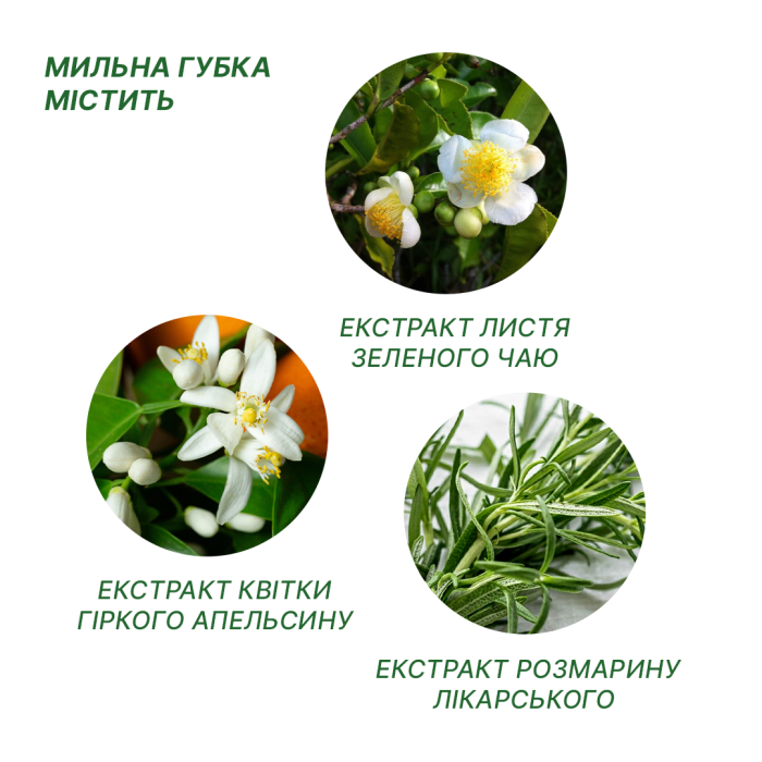 Одноразовий сухий мильний душ Estem Comfort для очищення шкіри без змивання