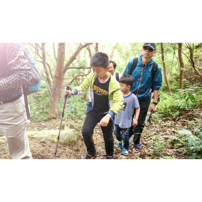 Трекінгова палиця 3-сек. Naturehike Boy 6061 AL NH17D001-Z, 50-100 см, алюміній, блакитна