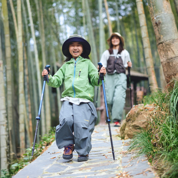 Трекінгова палиця 3-сек. Naturehike CNK2550DS010, 55-120 см, алюміній, зелена