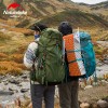 Рюкзак туристичний Naturehike 65 л + 5 л, зелений (NH16Y065-Q)